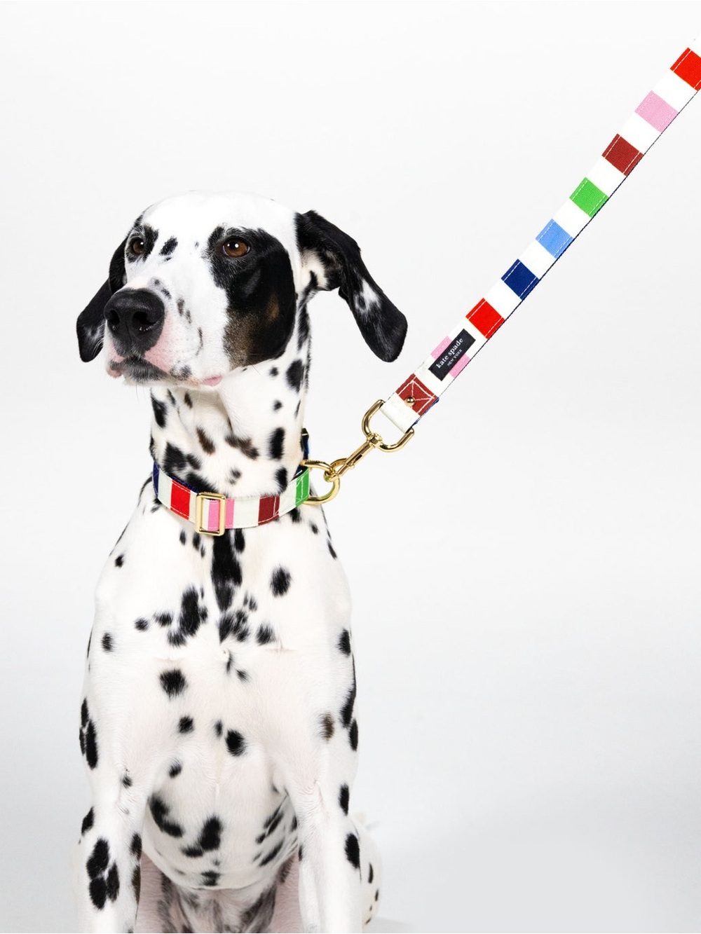 Kate Spade NY Adventure Stripe Dog Collar & Leash Combo - - Picture 14 of 16